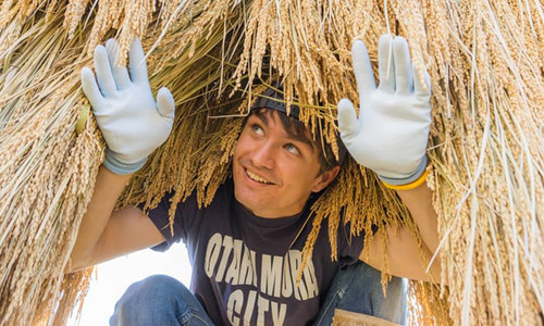 Mong thoát ế, 'trai làng' Nhật Bản lăng-xê hình ảnh qua lịch ảnh 2