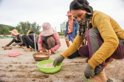 Agribank Lý Sơn - 10 năm hoạt động kinh doanh hiệu quả ảnh 1