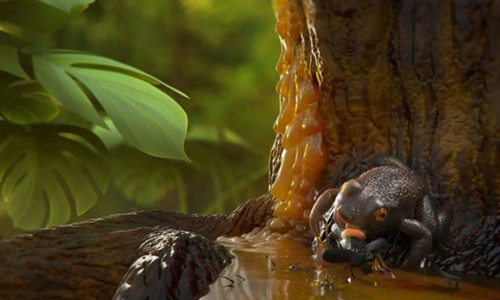 Hổ phách 99 triệu năm lưu giữ xác ếch cổ đại ảnh 1