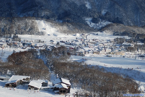 Mong thoát ế, 'trai làng' Nhật Bản lăng-xê hình ảnh qua lịch ảnh 1