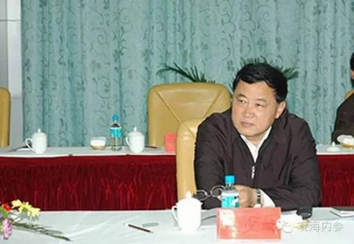 'Vua địa ốc' khiến cả loạt quan chức Trung Quốc bóc lịch ảnh 2