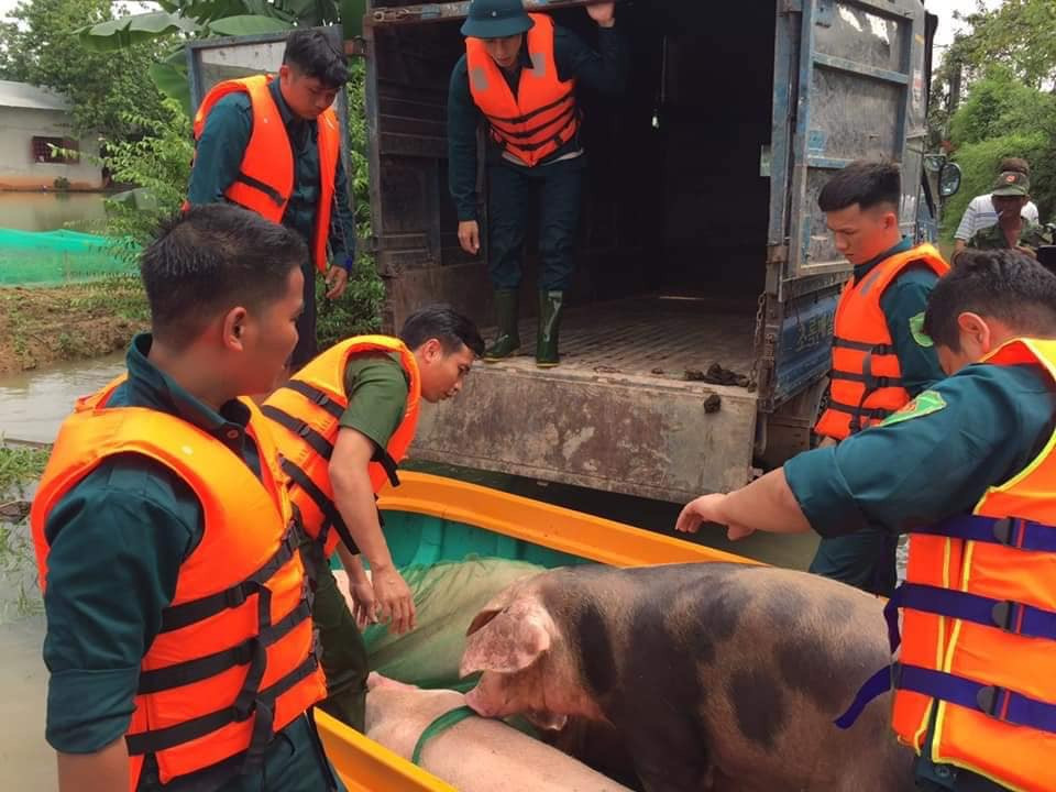  Thủy điện tăng cường xả lũ, hàng trăm ngôi nhà ngập trong biển nước ảnh 5