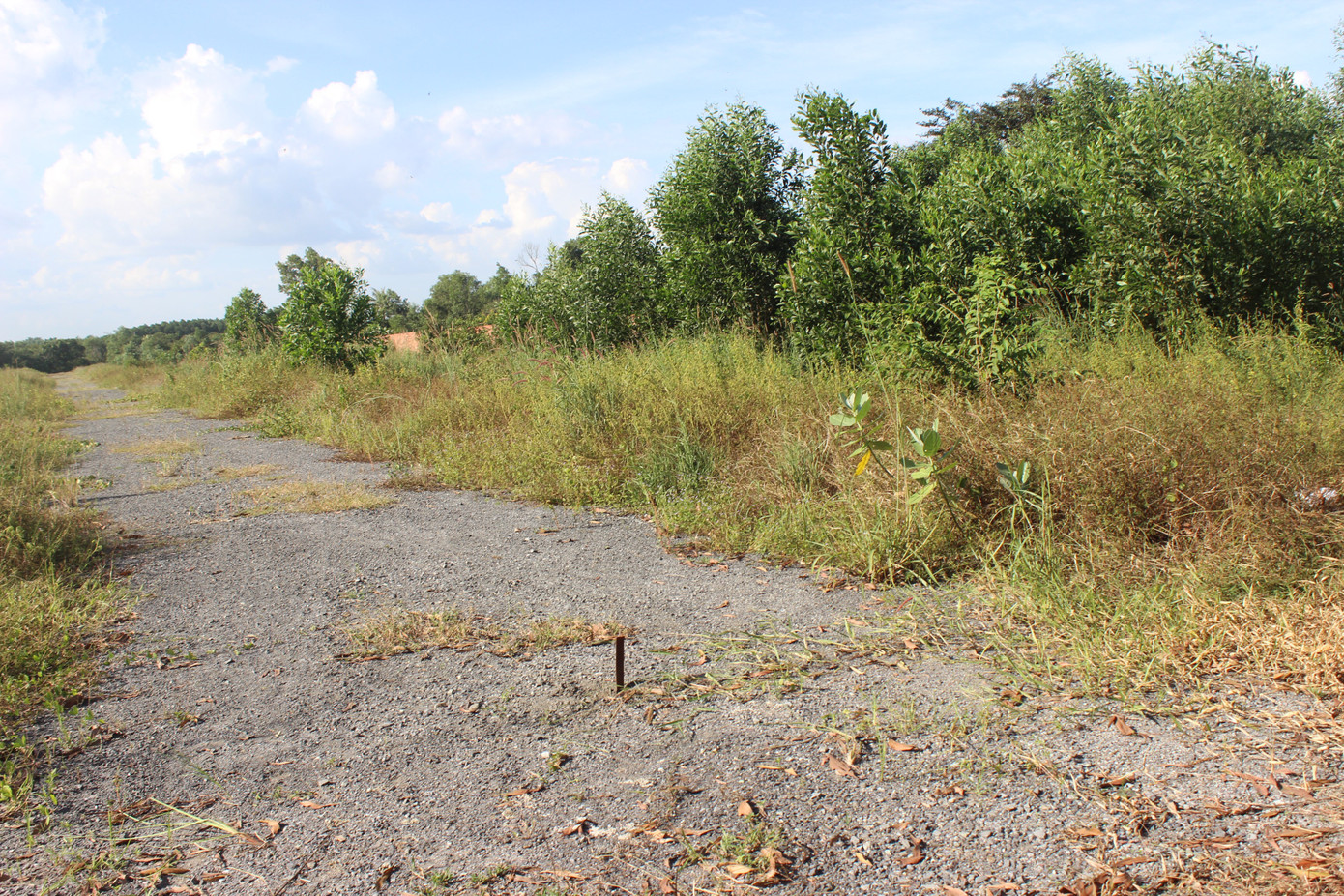 Cảnh hoang vắng ở các văn phòng, dự án khi 'ông chủ' Alibaba bị bắt ảnh 4