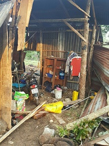 Sắm thiết bị bay theo dõi đàn voi rừng ảnh 1