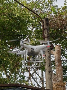 Sắm thiết bị bay theo dõi đàn voi rừng ảnh 3