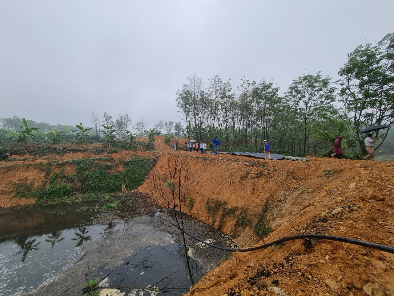 Trang trại lợn của bà Phạm Thị Thống và ông Trần Đức Thạnh xả thải nguồn nước đen ngòm ra môi trường.