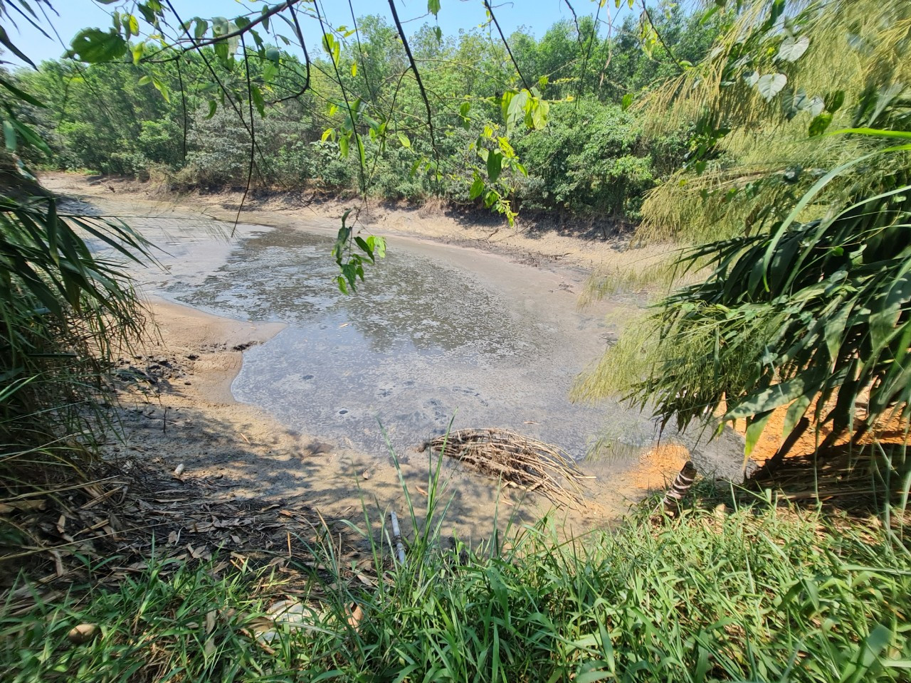 Nguồn nước khe suối đầu nguồn Rào Trường bị ô nhiễm.