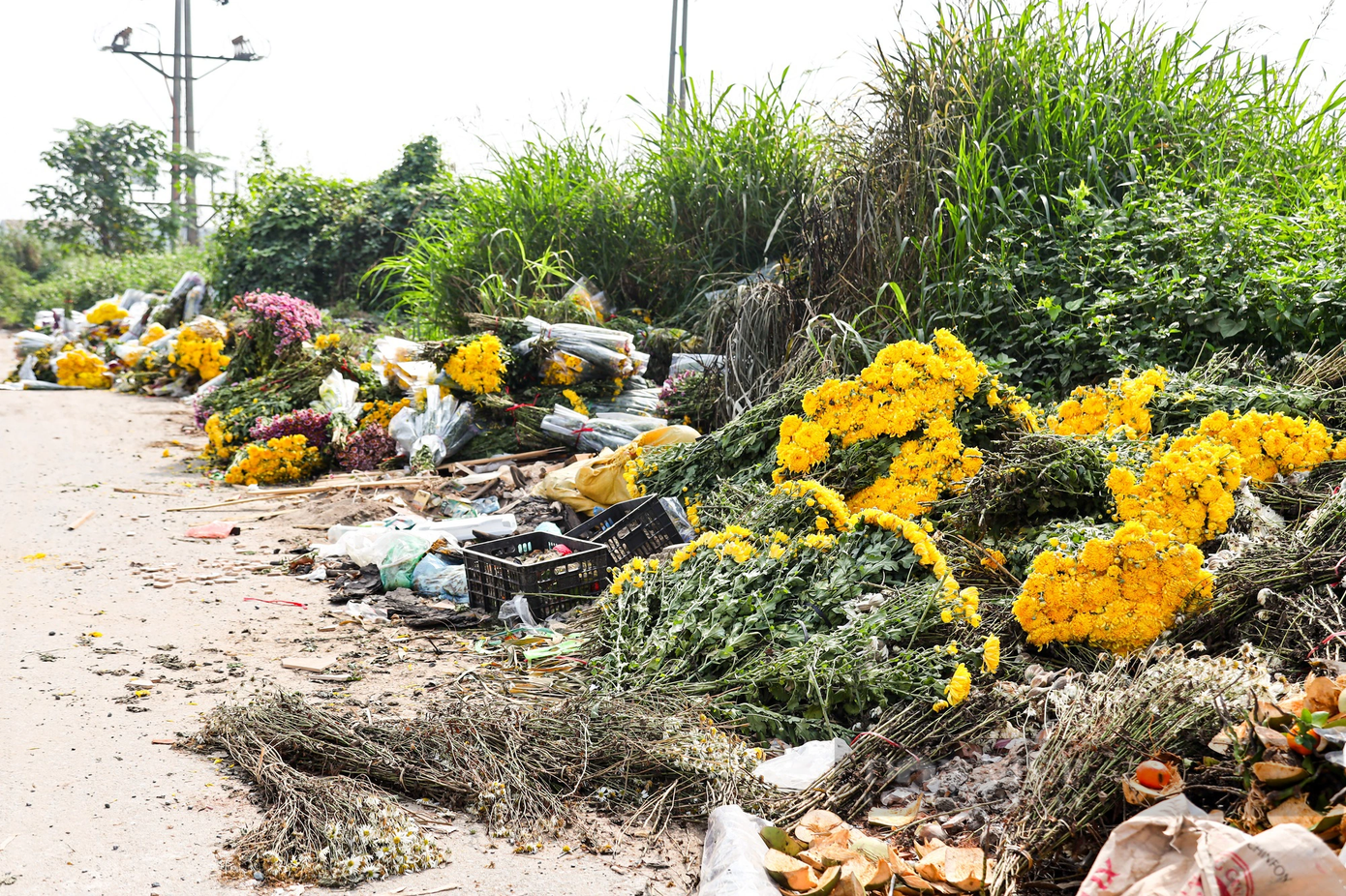 Hình ảnh dễ bắt gặp dọc đường đi của làng hoa Tây Tựu. Hình ảnh dễ bắt gặp dọc đường đi của làng hoa Tây Tựu.