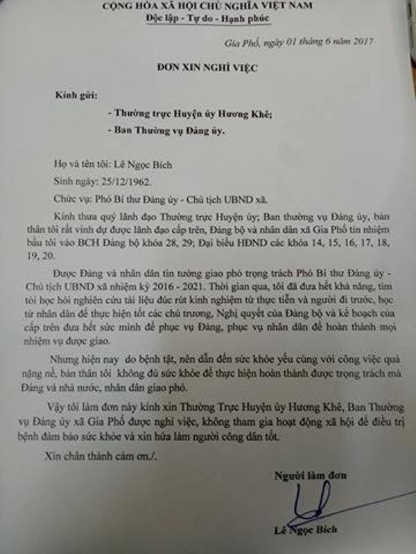 Chủ tịch xã xin nghỉ việc vì 'quá tải' ảnh 1