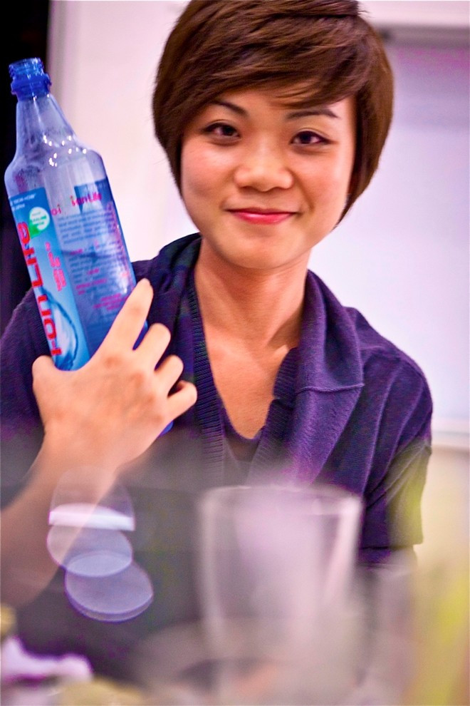 Kinh doanh từ năm 2009 đến năm 2010, Thùy Dung quyết định giải nghệ và chuyển hoàn toàn sang lĩnh vực kinh doanh. Kinh doanh từ năm 2009 đến năm 2010, Thùy Dung quyết định giải nghệ và chuyển hoàn toàn sang lĩnh vực kinh doanh