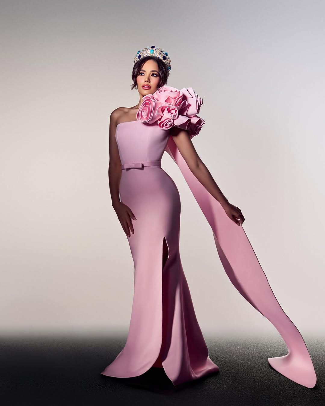 Ngoài ra, cô còn điều hành Manos Surcadas RD - quỹ hỗ trợ người cao tuổi trong các viện dưỡng lão. Những nỗ lực của cô nhằm mục đích nâng cao khả năng tiếp cận dịch vụ chăm sóc sức khỏe và cải thiện cuộc sống của nhóm dân số dễ bị tổn thương.