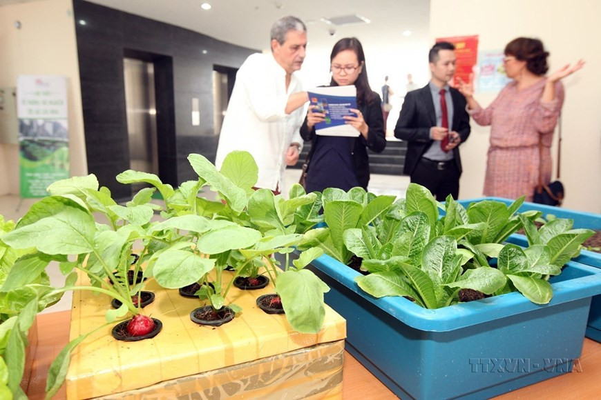 Pháp luôn coi giáo dục-đào tạo là mục tiêu ưu tiên trong hoạt động hợp tác tại Việt Nam, tập trung chủ yếu vào việc giảng dạy và phát triển tiếng Pháp, đào tạo nguồn nhân lực ở bậc đại học, sau đại học trong nhiều lĩnh vực, như quản lý kinh tế, ngân hàng, tài chính, luật, công nghệ mới… Ảnh: Nghiên cứu khoa học tại Phòng thí nghiệm của Trường Đại học Khoa học và Công nghệ Hà Nội (còn được gọi là Đại học Việt Pháp). (Ảnh: Anh Tuấn/TTXVN) Pháp luôn coi giáo dục-đào tạo là mục tiêu ưu tiên trong hoạt động hợp tác tại Việt Nam, tập trung chủ yếu vào việc giảng dạy và phát triển tiếng Pháp, đào tạo nguồn nhân lực ở bậc đại học, sau đại học trong nhiều lĩnh vực, như quản lý kinh tế, ngân hàng, tài chính, luật, công nghệ mới… Ảnh: Nghiên cứu khoa học tại Phòng thí nghiệm của Trường Đại học Khoa học và Công nghệ Hà Nội (còn được gọi là Đại học Việt Pháp). (Ảnh: Anh Tuấn/TTXVN)