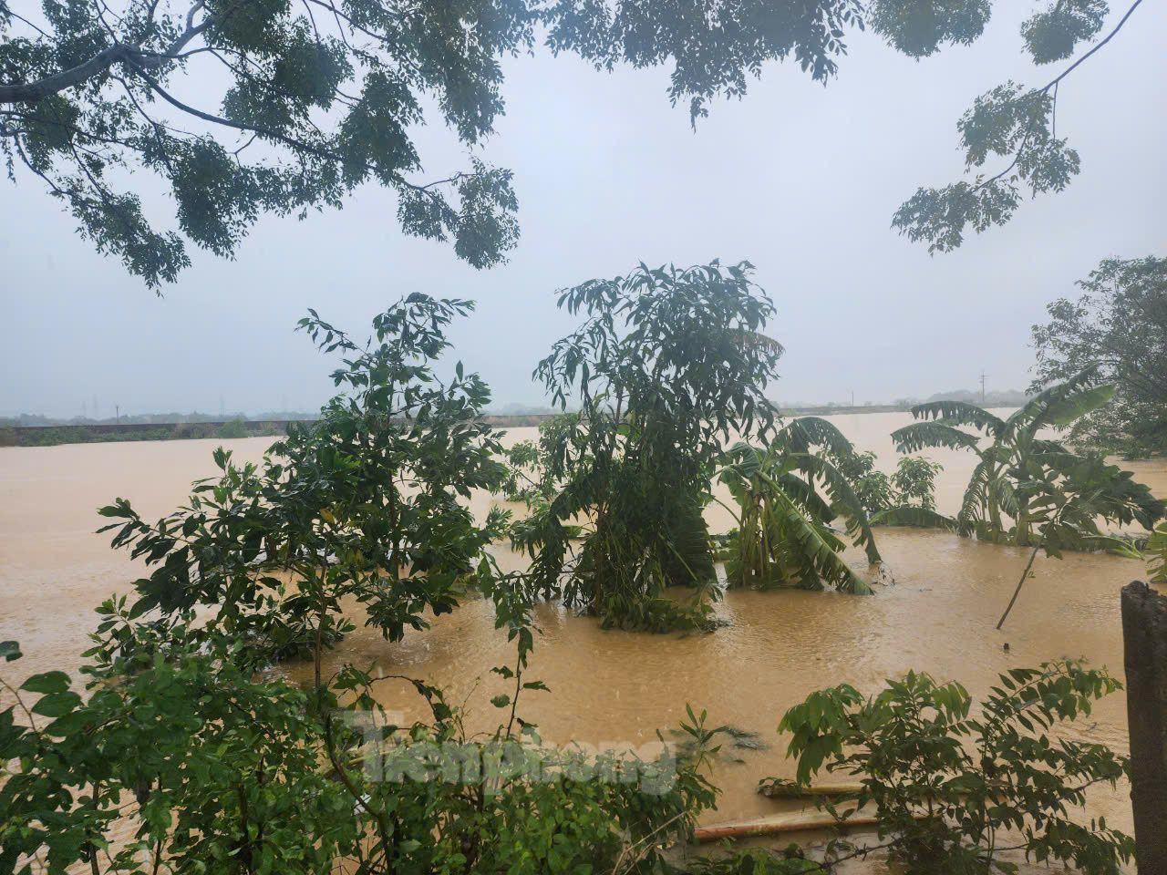 Do ảnh hưởng của bão số 3, cùng với một số thủy điện mở cửa xả lũ từ ngày 8/9 đến nay, nước sông Bùi đoạn qua huyện Chương Mỹ lên nhanh. Theo ghi nhận của PV, đến trưa ngày 10/9, nước sông Bùi đoạn chảy qua các xã Tân Tiến, Nam Phương Tiến... của huyện Chương Mỹ đã lên cao bằng mặt đê. Nước sông đang tràn vào khu dân cư ven bờ sông.