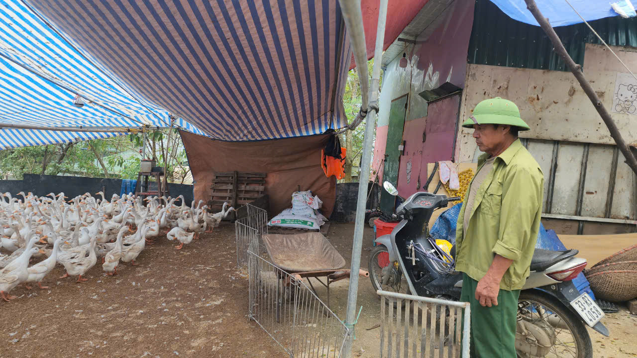 Gia đình ông Nguyễn Đình Tôn, thôn Định Tú, xã Cấn Hữu có trang trại VAC. Ông cho biết, mưa lũ khiến nước sông lên nhanh, gây thiệt hại toàn bộ diện tích nuôi cá của gia đình. Đàn vịt hàng trăm con đã trôi theo dòng nước lũ. Tổng thiệt hại lên đến hàng trăm triệu đồng.