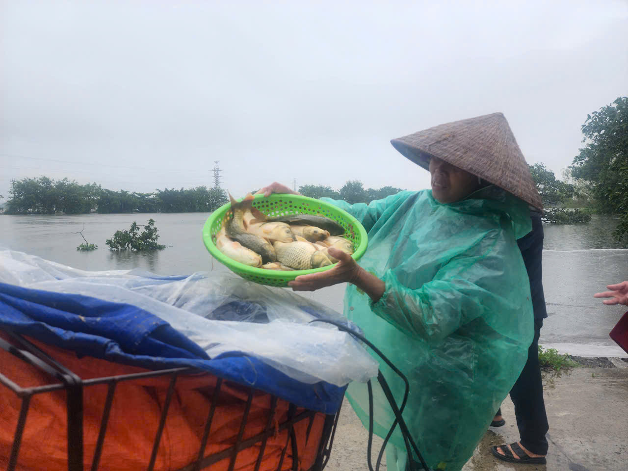 Một số hộ dân thì tranh thủ đánh cá bán cho tiểu thương.