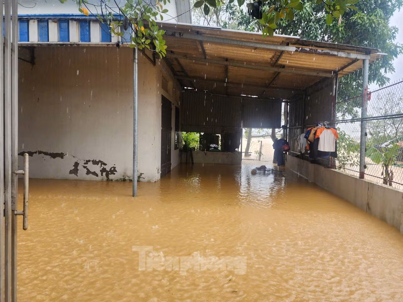 Trao đổi với PV Báo Tiền Phong, bà Nguyễn Thị Mùi - Phó Chủ tịch UBND xã Nam Phương Tiến (huyện Chương Mỹ) biết, đến trưa nay nước sông Bùi đã bằng mặt đê và tràn vào khu dân cư, trong đó một phần thôn Nhân Lý bị ngập. Dự kiến, trong tối nay và ngày mai, nước sông Bùi tiếp tục dâng cao gây ngập thêm nhiều khu dân cư. Chính quyền địa phương đã hướng dẫn người dân di chuyển tài sản, vật nuôi lên cao để tránh bão. Trao đổi với PV Báo Tiền Phong, bà Nguyễn Thị Mùi - Phó Chủ tịch UBND xã Nam Phương Tiến (huyện Chương Mỹ) biết, đến trưa nay nước sông Bùi đã bằng mặt đê và tràn vào khu dân cư, trong đó một phần thôn Nhân Lý bị ngập. Dự kiến, trong tối nay và ngày mai, nước sông Bùi tiếp tục dâng cao gây ngập thêm nhiều khu dân cư. Chính quyền địa phương đã hướng dẫn người dân di chuyển tài sản, vật nuôi lên cao để tránh bão.