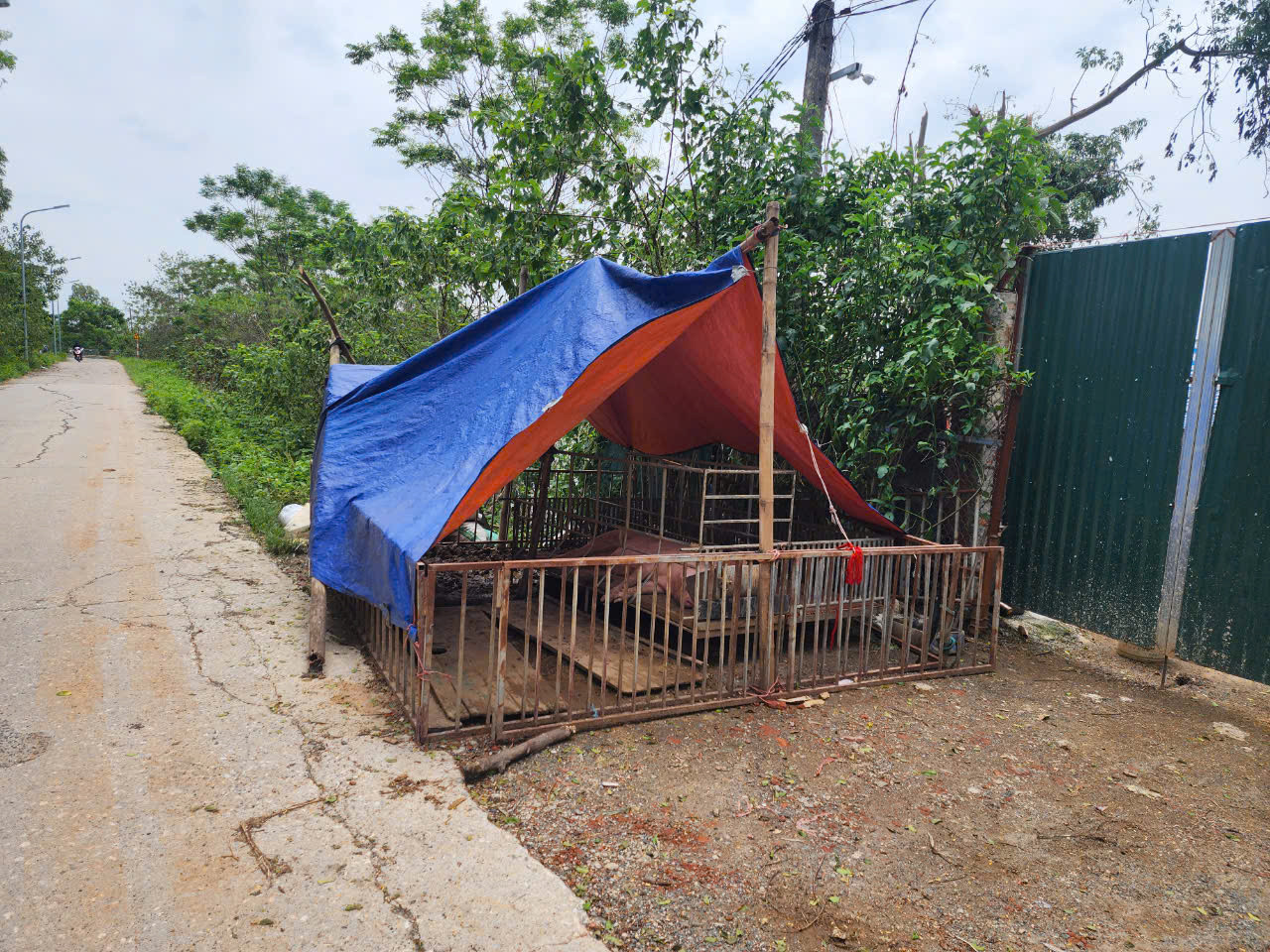 Người dân di dời chuồng trại lên mặt đê để hạn chế thiệt hại tài sản.