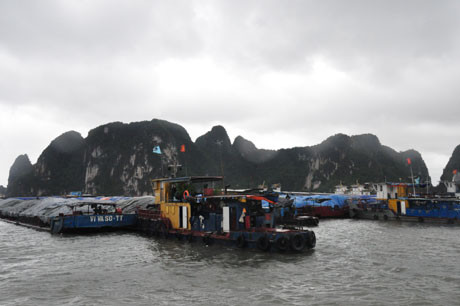 Tàu thuyền tránh trú tại khu vực đường bao biển cột 3, TP Hạ Long đảm bảo an toàn sau bão. (ảnh chụp lúc 5 giờ 30 sáng 11/11)