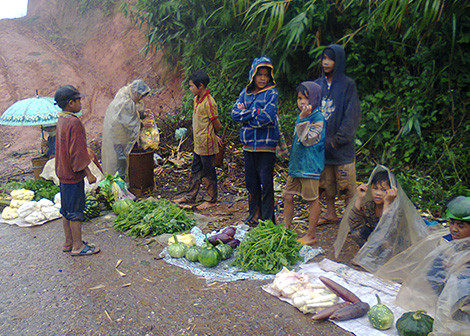 Theo dấu sâm Ngọc Linh trên đỉnh đèo Măng-rơi ảnh 2