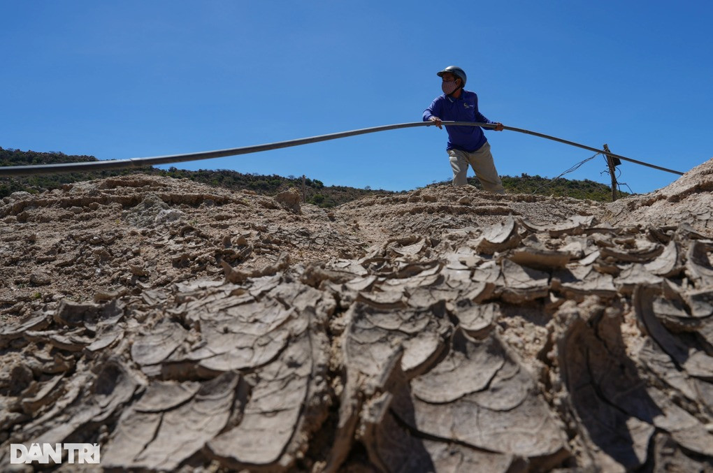 Người dân ở Ninh Thuận cũng đang khốn khổ trăm bề vì hạn hán kéo dài (Ảnh: Hữu Khoa).
