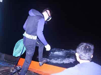 Thợ lặn nhảy xuống biển với dụng cụ đơn sơ. Ảnh: Nguyễn Thành 