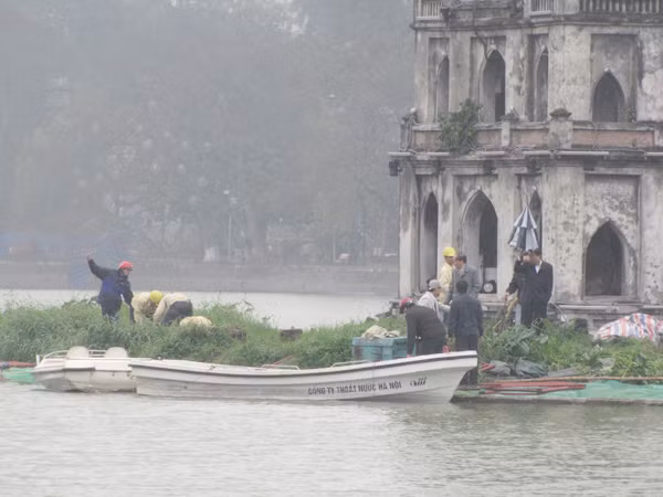 Mọi công tác đang được tiến hành để bắt và dẫn cụ Rùa về nơi chữa trị