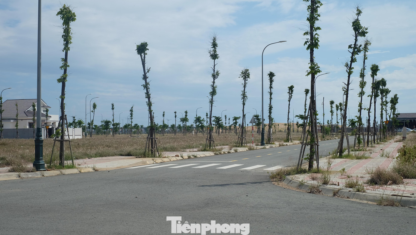 Ông Lê Chí Hiến cho rằng đã thực hiện đúng pháp luật việc bán đấu giá 262 lô đất tại khu đô thị Nam TP Tuy Hoà. Ảnh LỮ HỒ Ông Lê Chí Hiến cho rằng đã thực hiện đúng pháp luật việc bán đấu giá 262 lô đất tại khu đô thị Nam TP Tuy Hoà. Ảnh LỮ HỒ