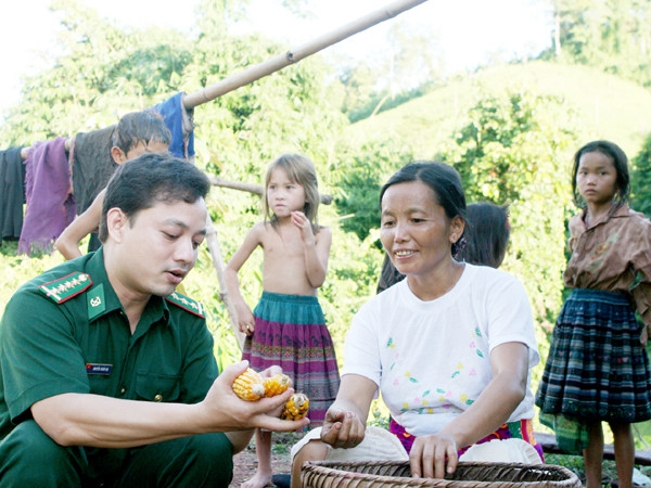 Hướng dẫn bà con kỹ thuật trồng ngô