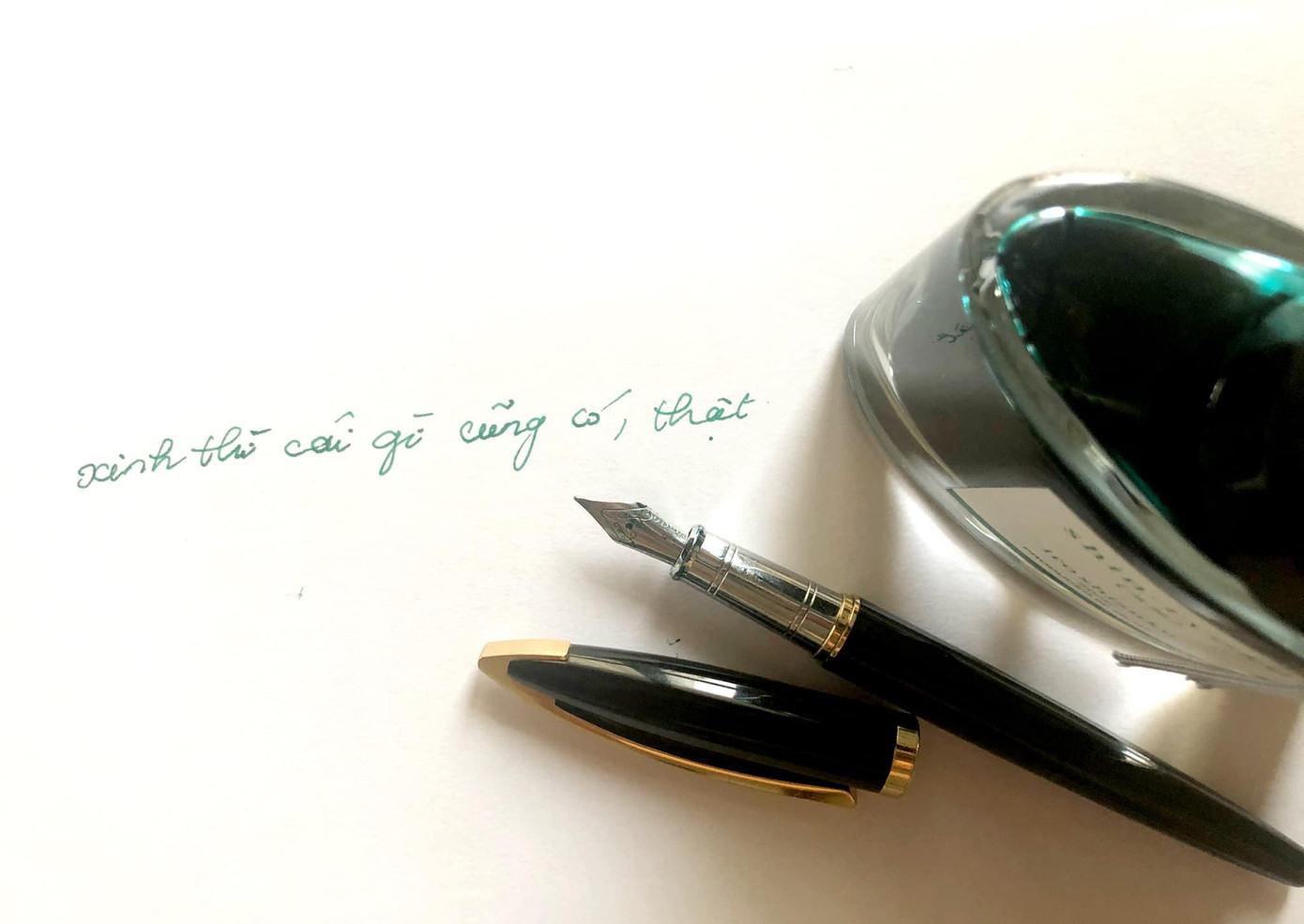 Thu Thuỷ đăng quang Hoa hậu Việt Nam năm 1994 khi mới 18 tuổi. Cũng tại cuộc thi này, cô giành giải "Ứng xử hay nhất". Cô từng là giám khảo của cuộc thi "Phụ nữ thế kỷ 21".