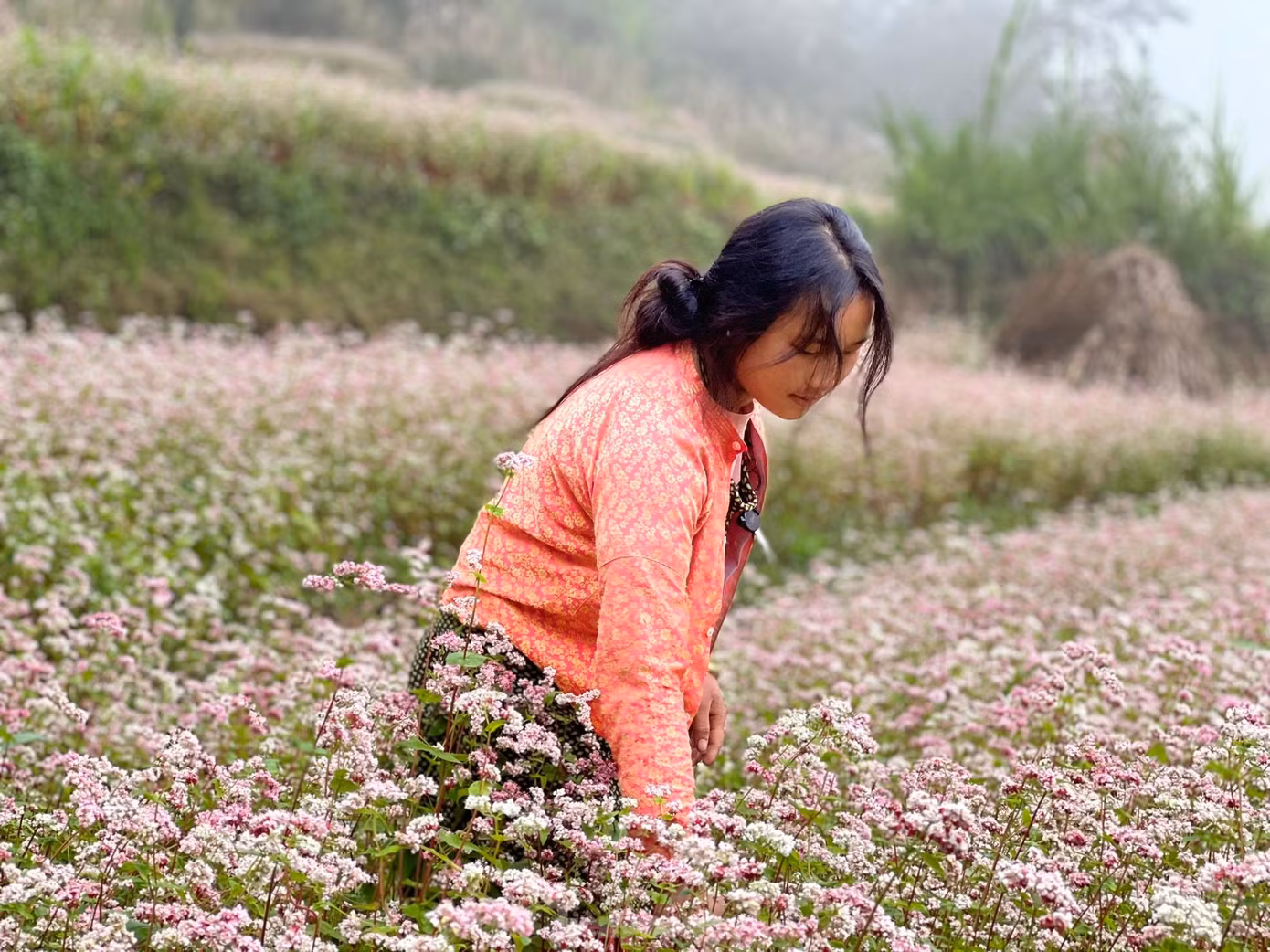 Khuyến khích bà con dân tộc thiểu số làm du lịch cộng đồng để bảo tồn văn hóa, nâng cao đời sống. Ảnh: Nguyên Khánh Khuyến khích bà con dân tộc thiểu số làm du lịch cộng đồng để bảo tồn văn hóa, nâng cao đời sống. Ảnh: Nguyên Khánh