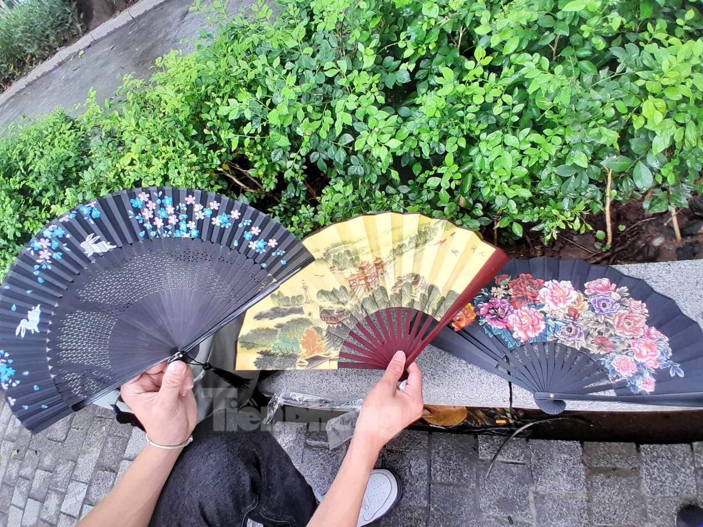 Ba chiếc quạt có mức giá từ 40.000 - 70.000 đồng tại phố đi bộ Hồ Gươm. Ảnh: Hồng Thơ. Ba chiếc quạt có mức giá từ 40.000 - 70.000 đồng tại phố đi bộ Hồ Gươm. Ảnh: Hồng Thơ.