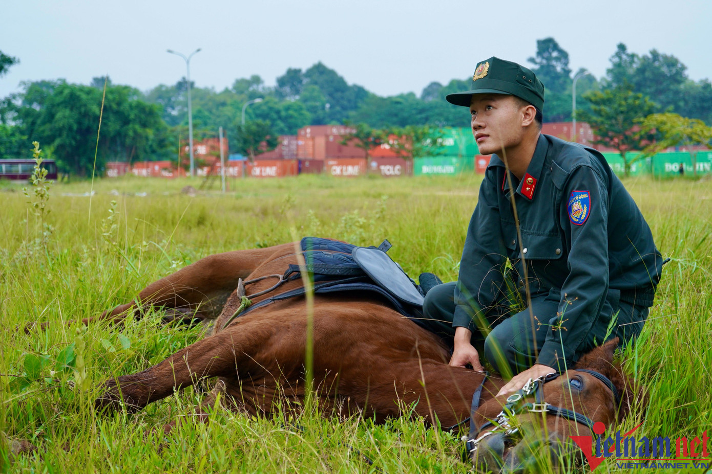 Động tác vật ngựa buộc chú ngựa phải nằm im theo mệnh lệnh của chủ nhân. Động tác này được áp dụng trong chiến đấu nhất là các trường hợp phải ẩn nấp, tránh sự phát hiện của đối phương, chính vì vậy đòi hỏi sự phối hợp nhuần nhuyễn giữa người và ngựa. Động tác vật ngựa buộc chú ngựa phải nằm im theo mệnh lệnh của chủ nhân. Động tác này được áp dụng trong chiến đấu nhất là các trường hợp phải ẩn nấp, tránh sự phát hiện của đối phương, chính vì vậy đòi hỏi sự phối hợp nhuần nhuyễn giữa người và ngựa.
