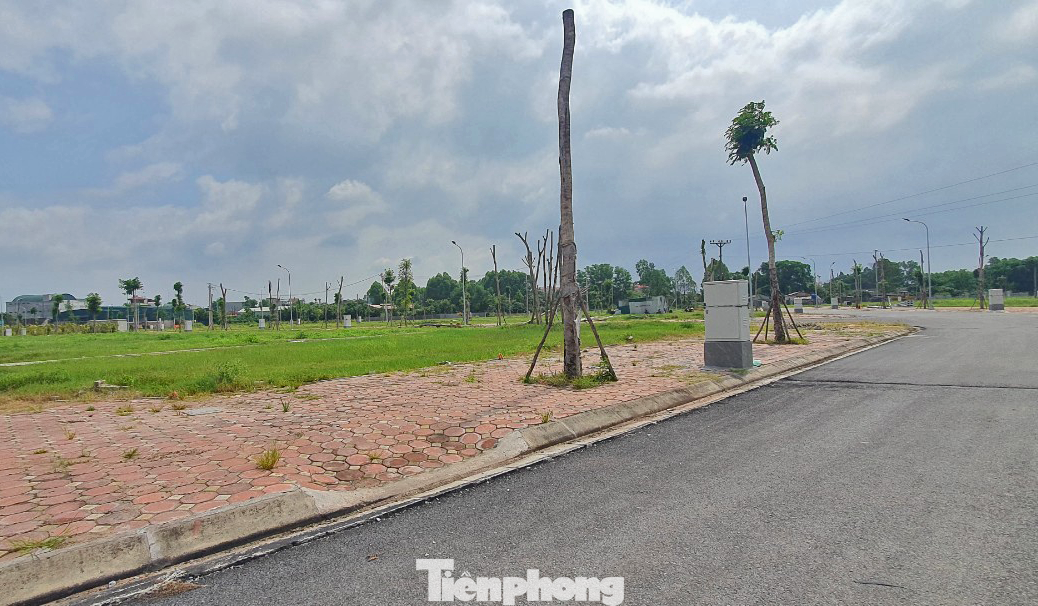 Các đại biểu cho rằng, cần làm rõ việc đảm bảo sự tương thích giữa quy hoạch sử dụng đất của cấp trên, cấp dưới, quy hoạch quốc gia, quy hoạch vùng. Các đại biểu cho rằng, cần làm rõ việc đảm bảo sự tương thích giữa quy hoạch sử dụng đất của cấp trên, cấp dưới, quy hoạch quốc gia, quy hoạch vùng.