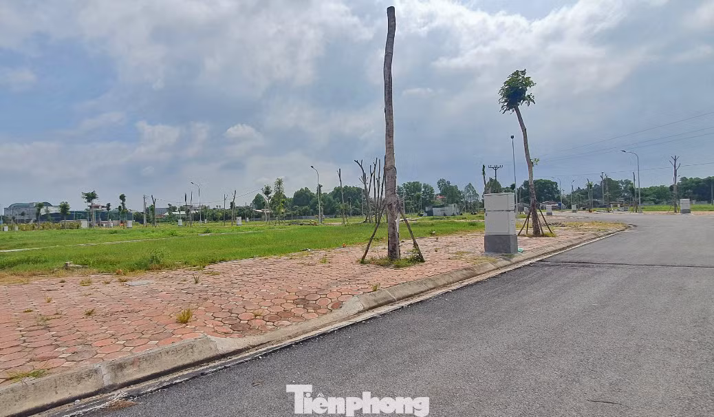 Các đại biểu cho rằng, cần làm rõ việc đảm bảo sự tương thích giữa quy hoạch sử dụng đất của cấp trên, cấp dưới, quy hoạch quốc gia, quy hoạch vùng.