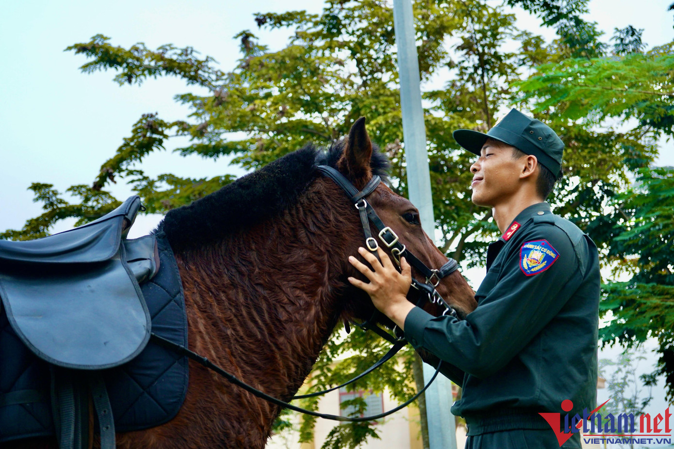 Thiếu úy Đặng Xuân Hoạt chia sẻ các chiến sĩ được tuyển chọn về đây là những người yêu ngành mến nghề, có tâm huyết trong việc huấn luyện động vật nghiệp vụ. Chính vì vậy với niềm đam mê các chiến sĩ trong lực lượng mới có thể huấn luyện những chú ngựa hoang hung hãn trở thành những “chiến binh” trên thao trường... Thiếu úy Đặng Xuân Hoạt chia sẻ các chiến sĩ được tuyển chọn về đây là những người yêu ngành mến nghề, có tâm huyết trong việc huấn luyện động vật nghiệp vụ. Chính vì vậy với niềm đam mê các chiến sĩ trong lực lượng mới có thể huấn luyện những chú ngựa hoang hung hãn trở thành những “chiến binh” trên thao trường...