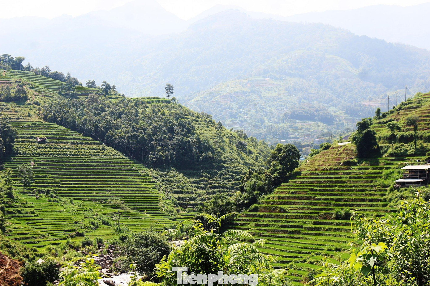 Nhiều địa phương vùng cao liên tục đấu giá đất. (Ảnh minh họa: Lộc Liên)