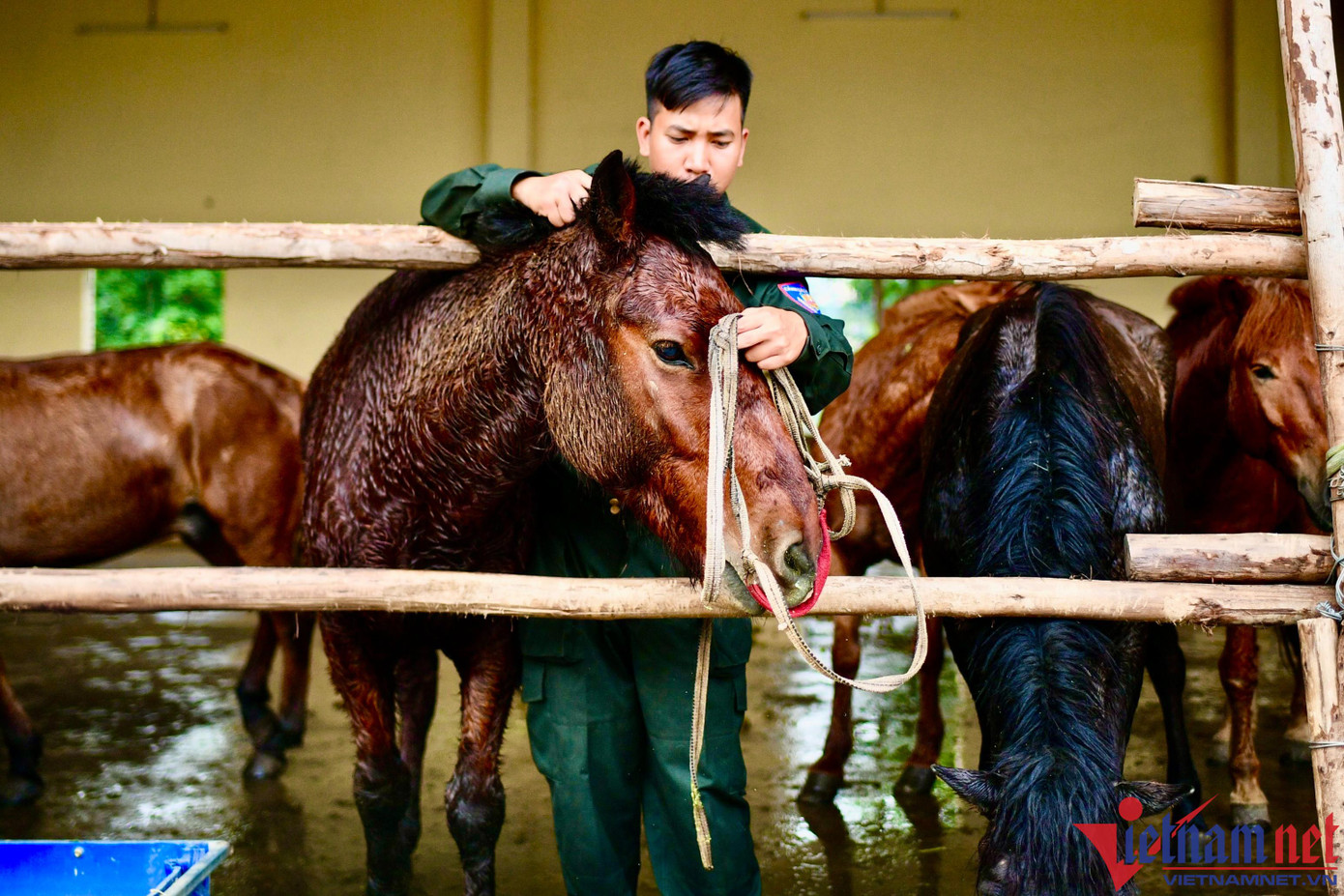 Các cán bộ chiến sĩ trong Đoàn CSCĐ kỵ binh của Bộ tư lệnh CSCĐ ở TP.HCM luôn dành nhiều thời gian cho các “chiến binh” sẽ luôn cùng kề vai sát cánh trong các nhiệm vụ khó khăn trong tương lai. Các cán bộ chiến sĩ trong Đoàn CSCĐ kỵ binh của Bộ tư lệnh CSCĐ ở TP.HCM luôn dành nhiều thời gian cho các “chiến binh” sẽ luôn cùng kề vai sát cánh trong các nhiệm vụ khó khăn trong tương lai.