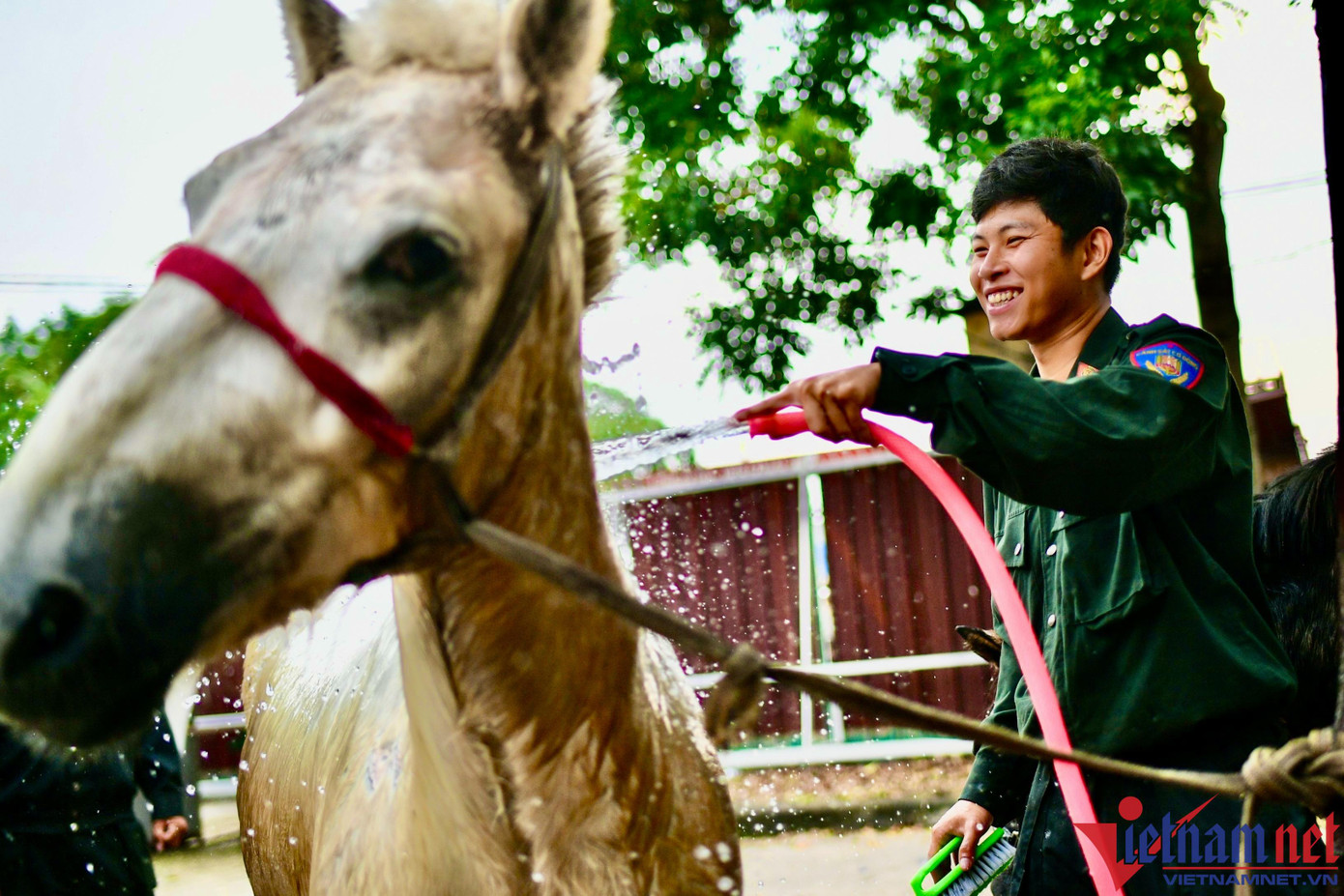 Sau những giờ phút tập luyện căng thẳng, mệt mỏi trên thao trường, các cán bộ chiến sĩ sẽ tắm cho các “chiến binh”... Sau những giờ phút tập luyện căng thẳng, mệt mỏi trên thao trường, các cán bộ chiến sĩ sẽ tắm cho các “chiến binh”...