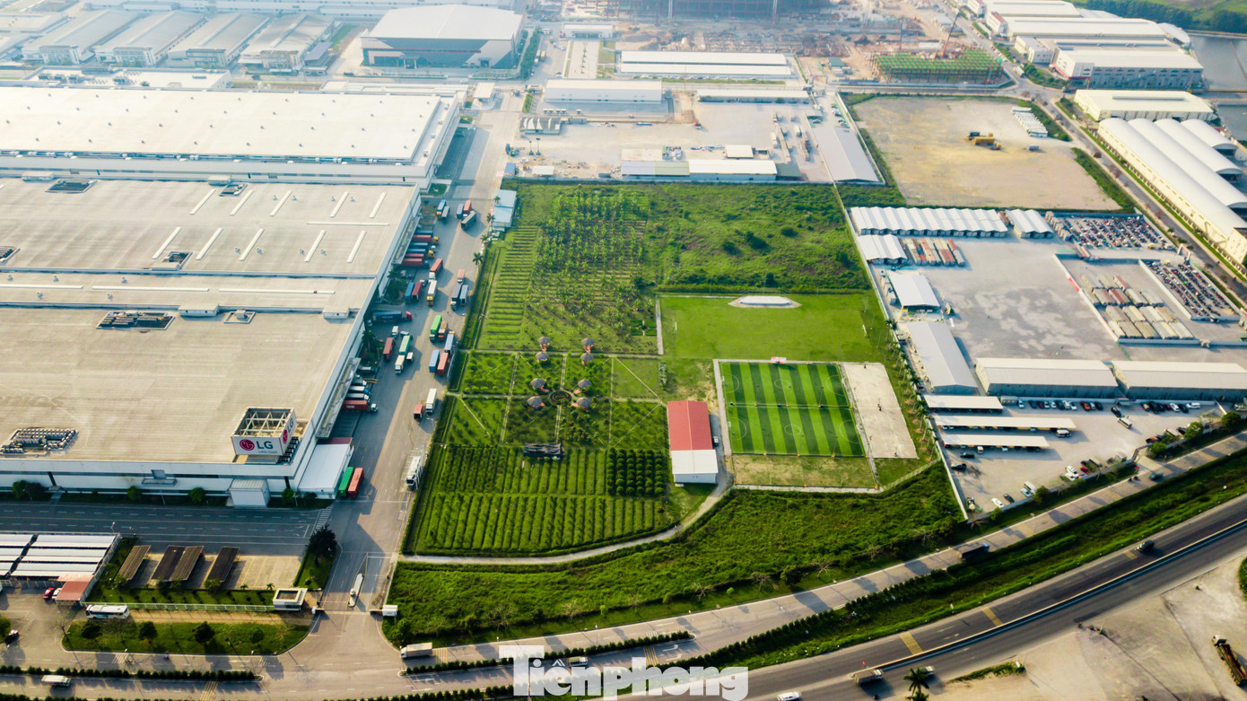 FDI vào lĩnh vực bất động sản tăng gần gấp đôi (đạt 3,5 tỷ USD) so với con số thu hút của cùng kỳ năm ngoái (chỉ đạt 1,8 tỷ USD) FDI vào lĩnh vực bất động sản tăng gần gấp đôi (đạt 3,5 tỷ USD) so với con số thu hút của cùng kỳ năm ngoái (chỉ đạt 1,8 tỷ USD)