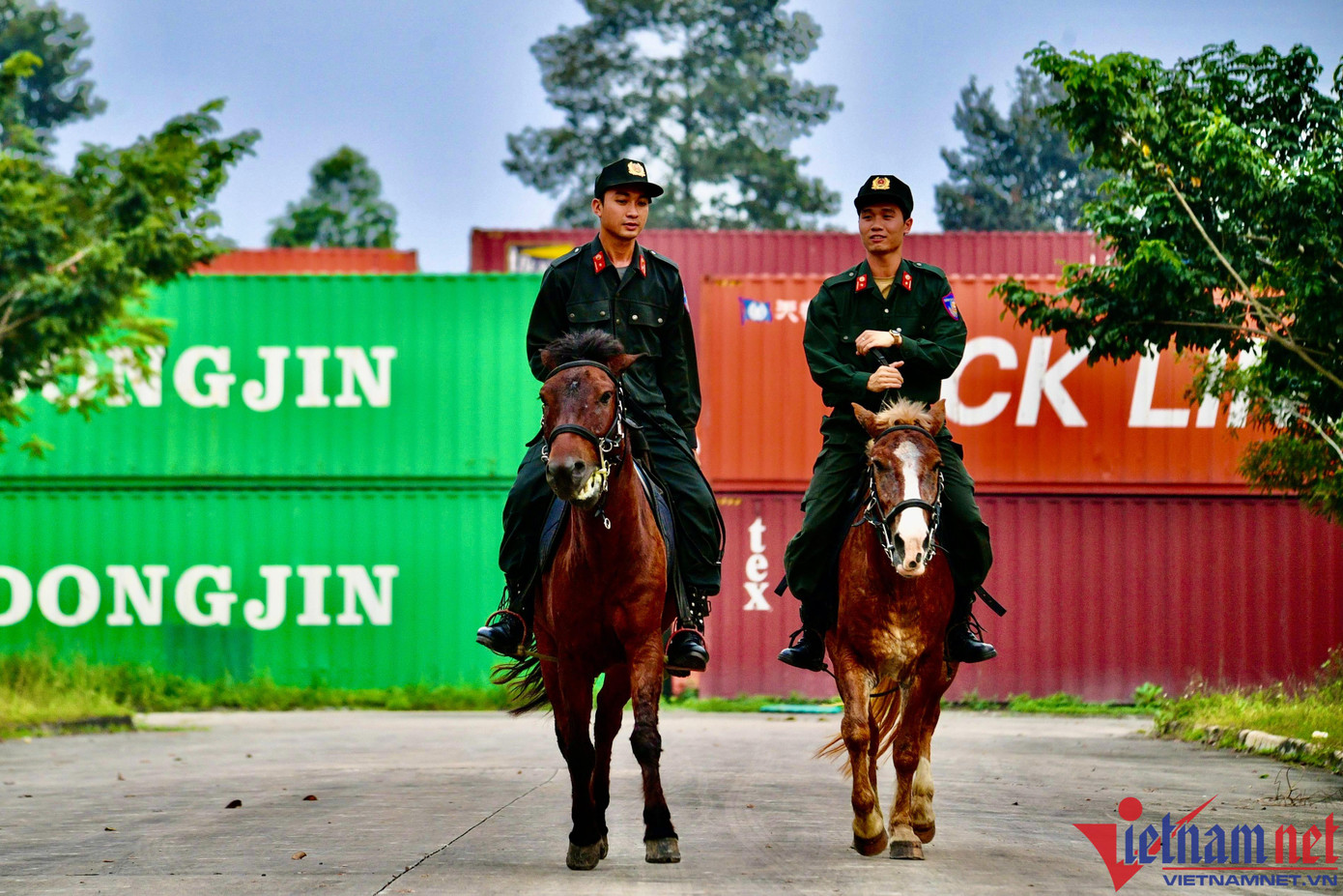 Những chú ngựa hoang sau khi được thuần dưỡng, huấn luyện đã trở thành những 'chiến binh' Những chú ngựa hoang sau khi được thuần dưỡng, huấn luyện đã trở thành những 'chiến binh'