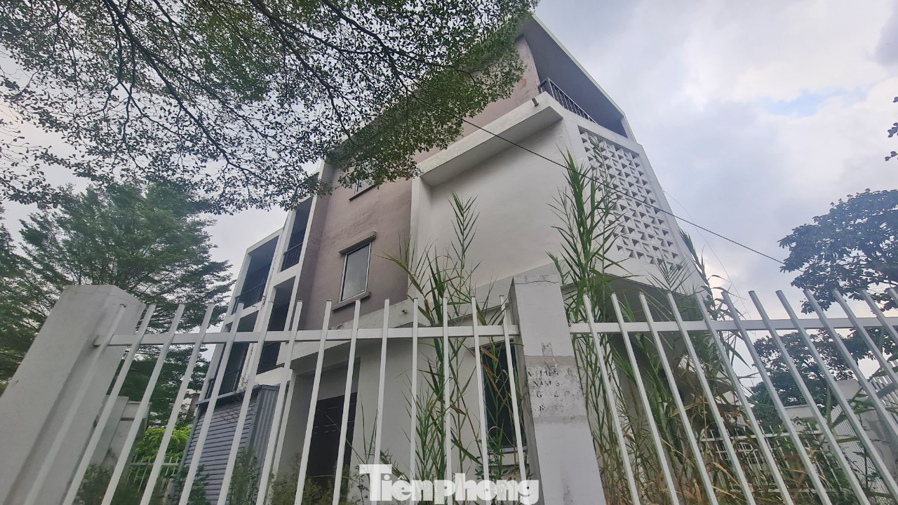 Thậm chí, nhiều căn nhà liền kề tiền tỷ đã xây dựng, hoàn thiện xong nhưng không có người ở, để cỏ dại mọc bám quanh nhà.