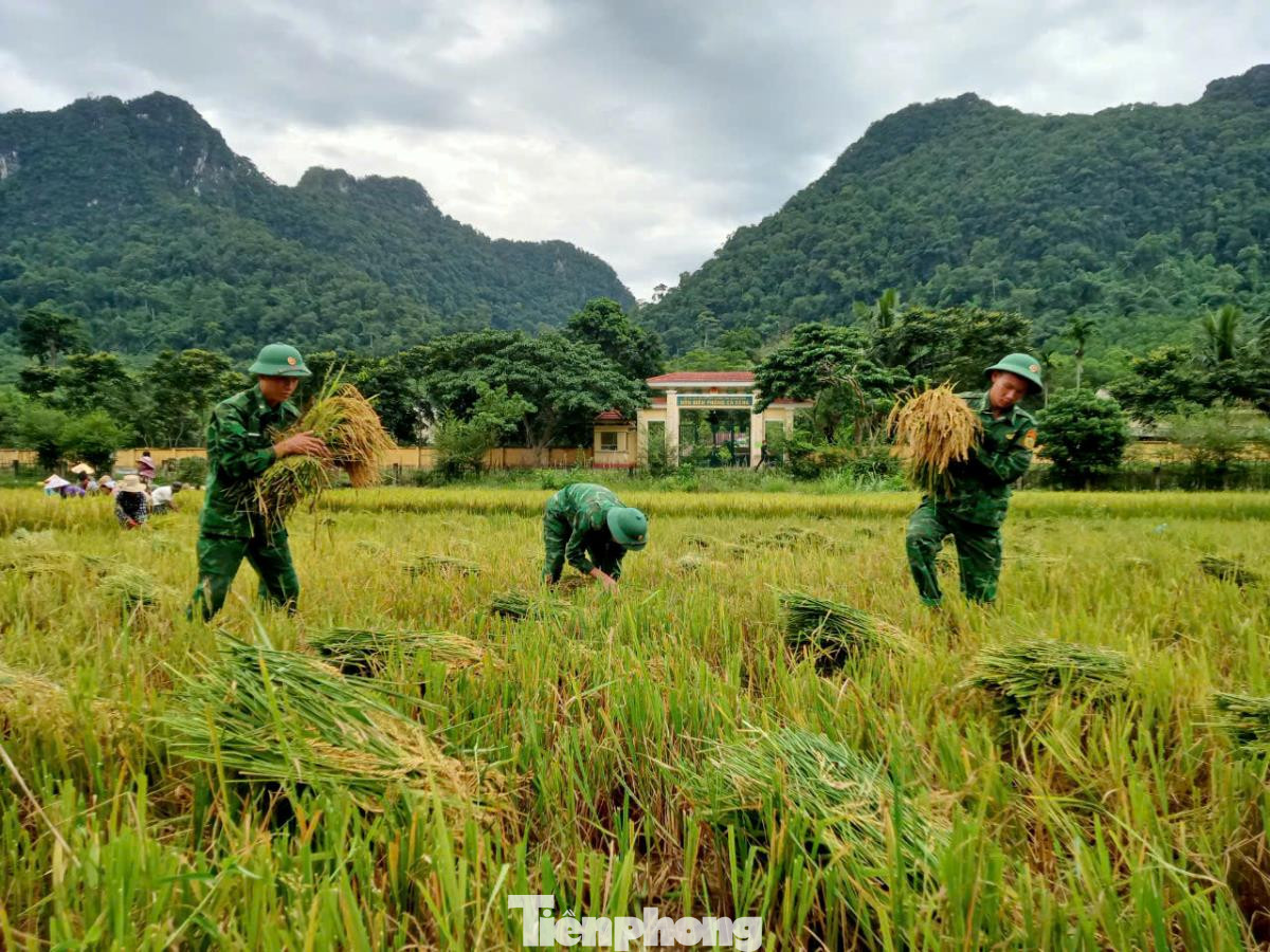 Vào mùa gặt hái, mỗi ngày thứ Bảy trở nên rộn ràng hơn bởi hình ảnh cán bộ, chiến sĩ Biên phòng xuống đồng cùng nhân dân gặt lúa, thu hoạch lạc, khoai…