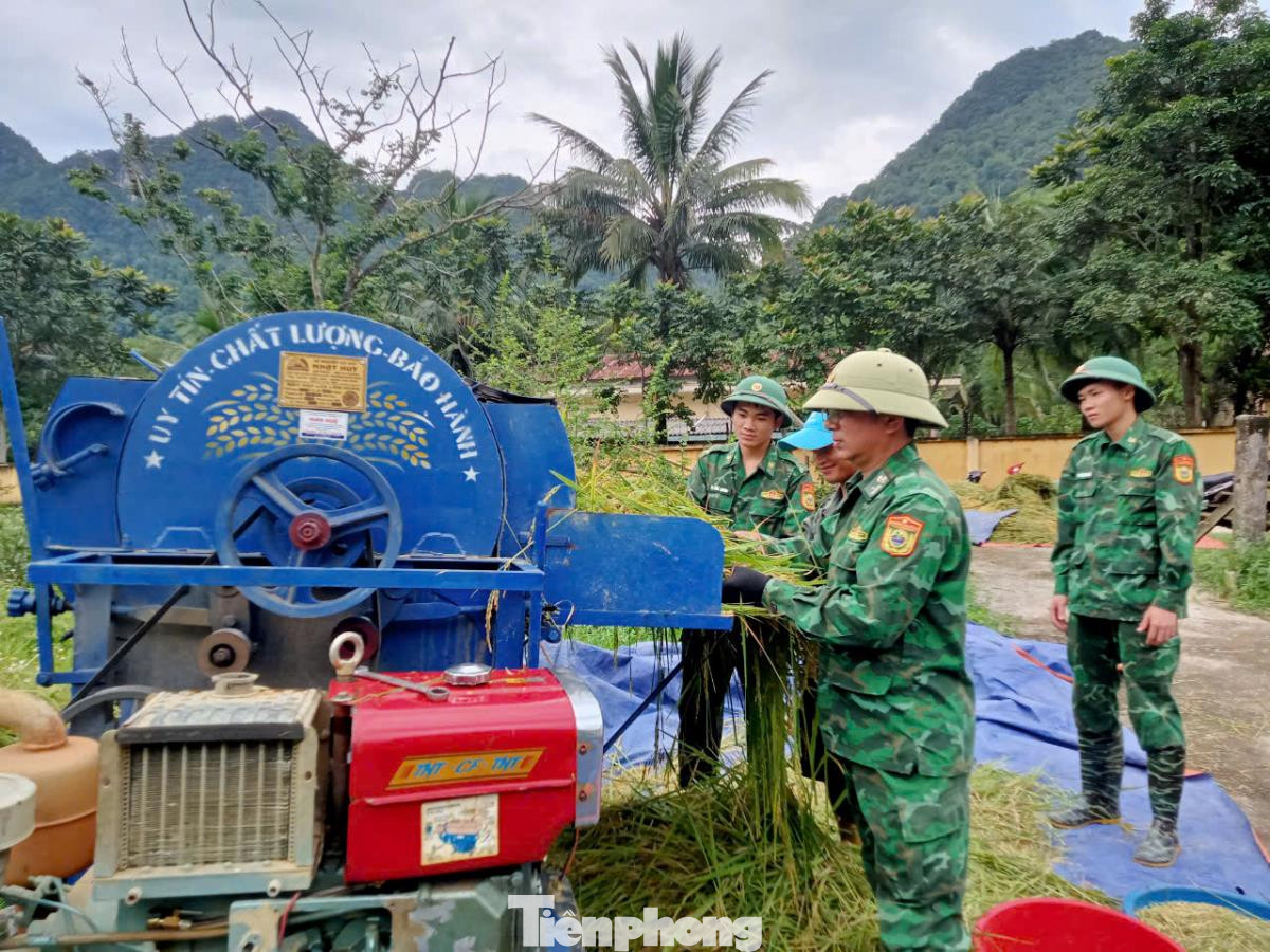 Những hạt lúa vàng của tình quân dân.