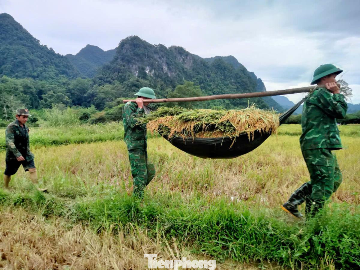 Vào mùa gặt hái, mỗi ngày thứ Bảy trở nên rộn ràng hơn bởi hình ảnh cán bộ, chiến sĩ Biên phòng xuống đồng cùng nhân dân gặt lúa, thu hoạch lạc, khoai…