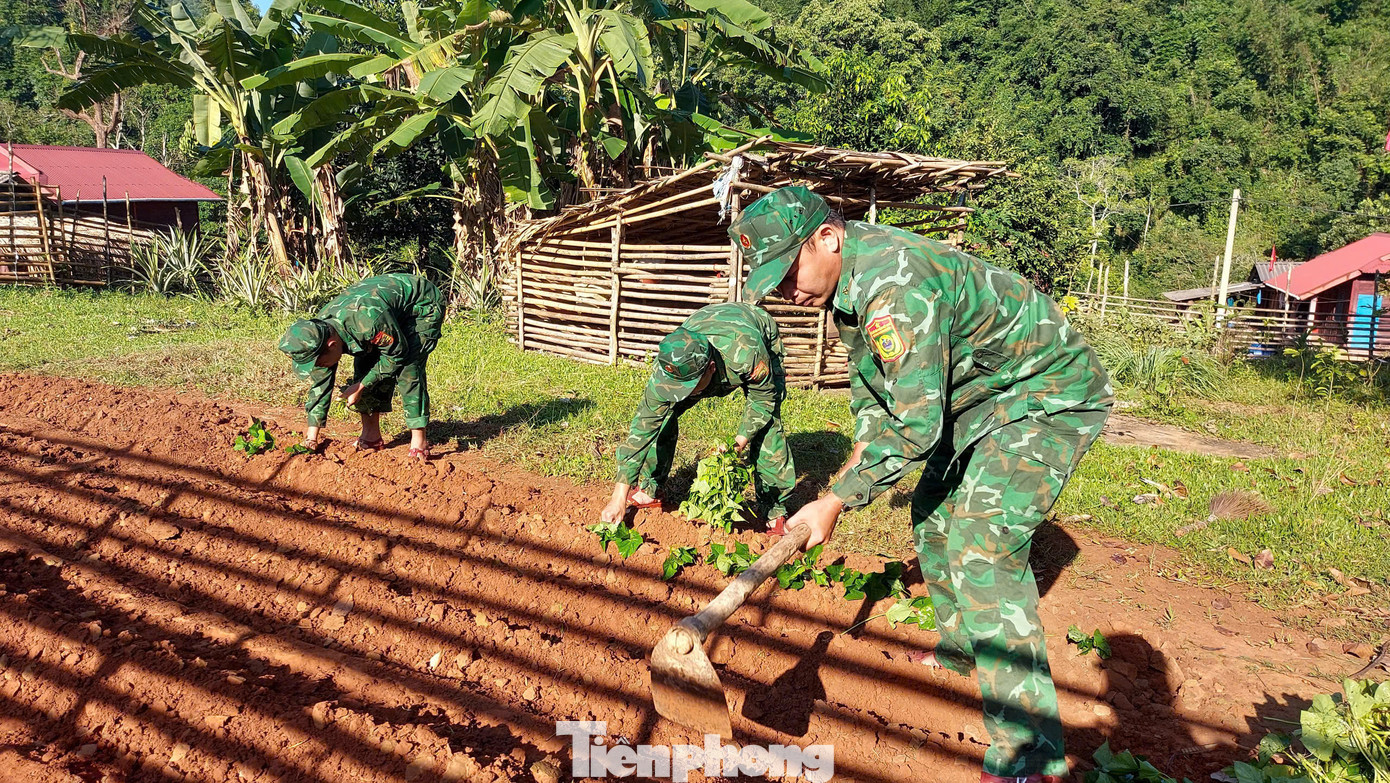 Hằng tuần cán bộ, chiến sĩ các đồn Biên phòng xuống với người dân bản giúp dân cải tạo vườn, chuyển đổi cơ cấu cây trồng.