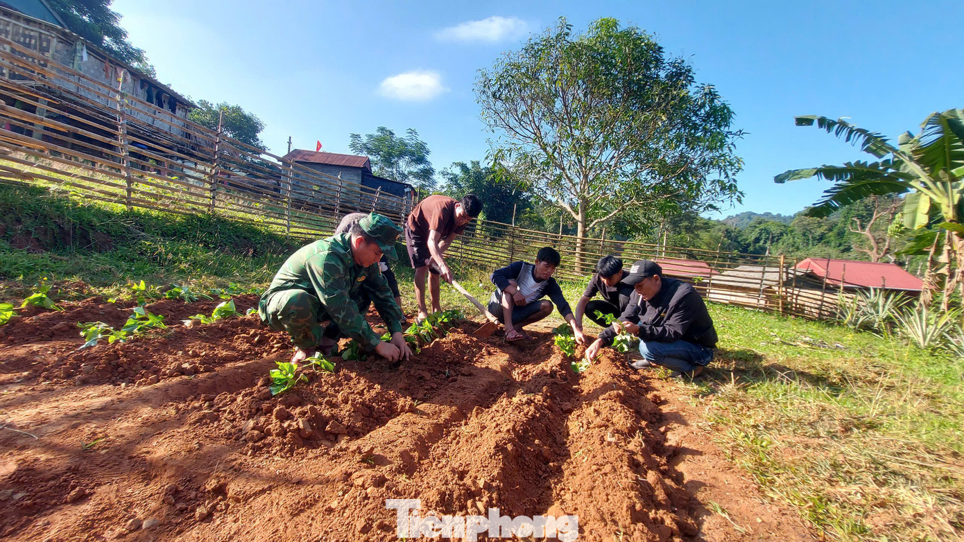 Hằng tuần cán bộ, chiến sĩ các đồn Biên phòng xuống với người dân bản giúp dân cải tạo vườn, chuyển đổi cơ cấu cây trồng.