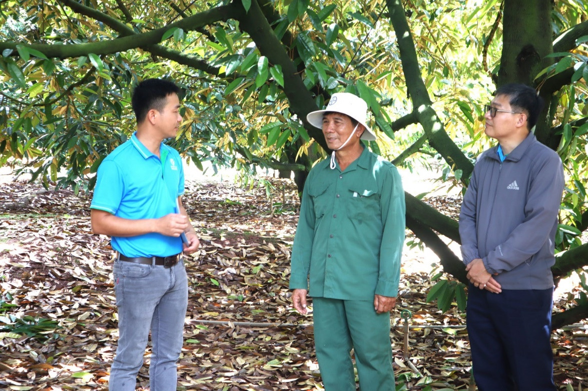 Ông Nguyễn Văn Sứ (giữa) trao đổi cùng chuyên gia nông nghiệp từ Bayer và Viện Khoa học Kỹ thuật Nông Lâm nghiệp Tây Nguyên. Ảnh: Huỳnh Thuỷ.