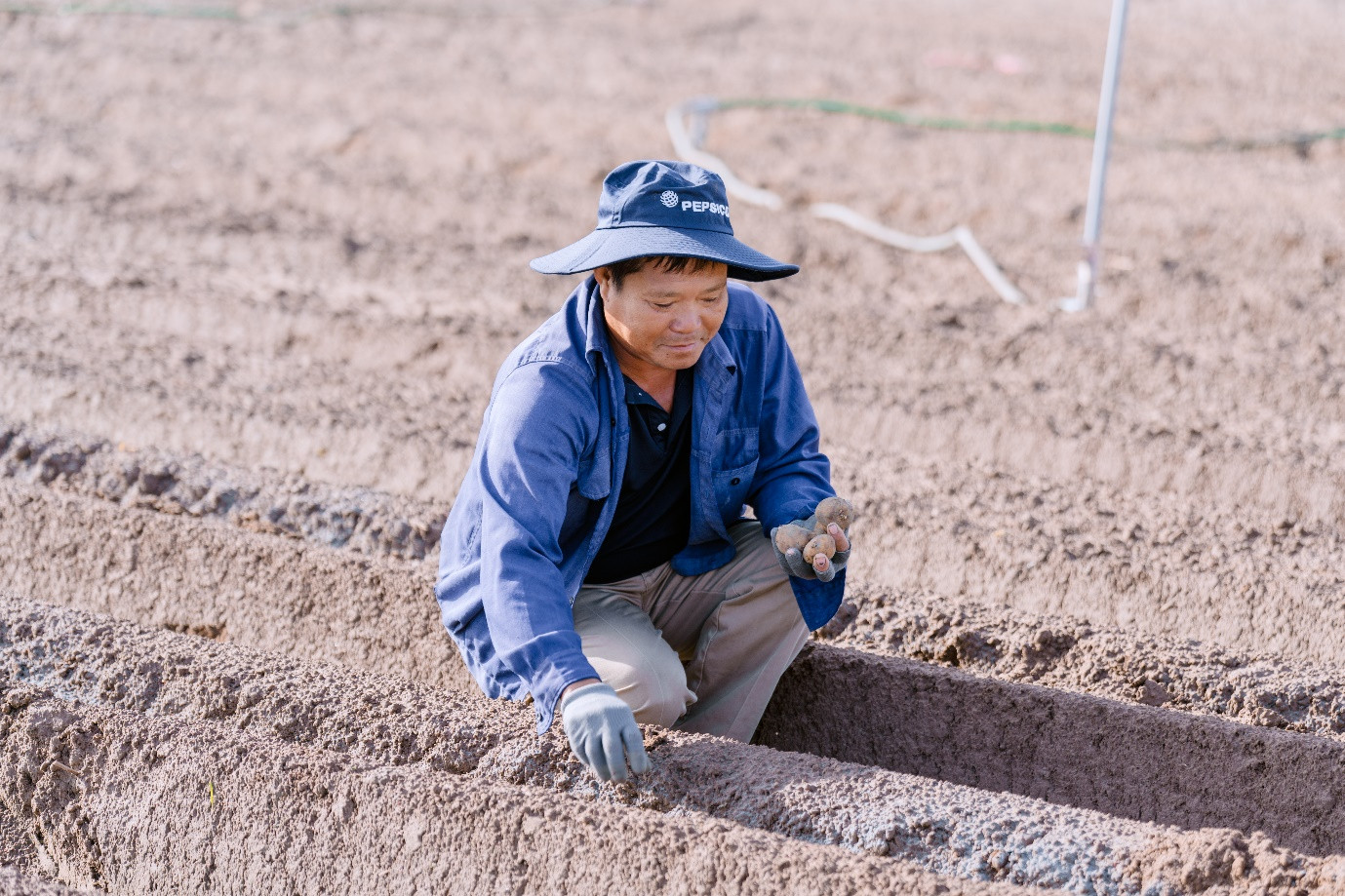 Mở rộng vùng nguyên liệu ra phía Bắc giúp nông dân có thêm lựa chọn cây trồng và cơ hội có được nguồn thu nhập ổn định.