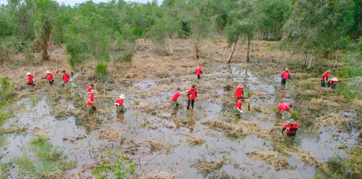 Quang cảnh diện tích rừng tràm vừa được J&amp;T Express chung sức gieo trồng tại Vườn Quốc gia U Minh Thượng