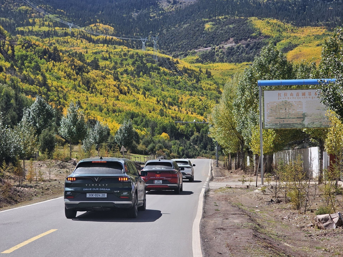 Vượt qua những cung đường khó khăn, đoàn tiếp tục di chuyển giữa khung cảnh “đẹp như tranh” với một rừng cây lá vàng hai bên đường. Vượt qua những cung đường khó khăn, đoàn tiếp tục di chuyển giữa khung cảnh “đẹp như tranh” với một rừng cây lá vàng hai bên đường.